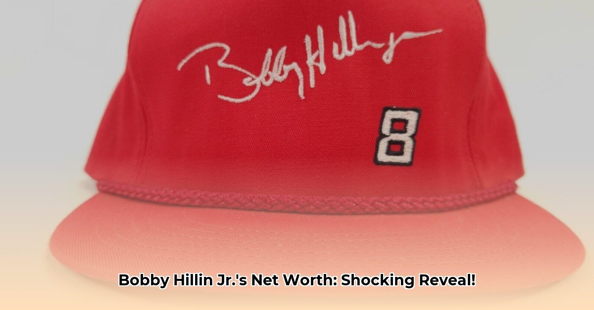 bobby hillin jr net worth